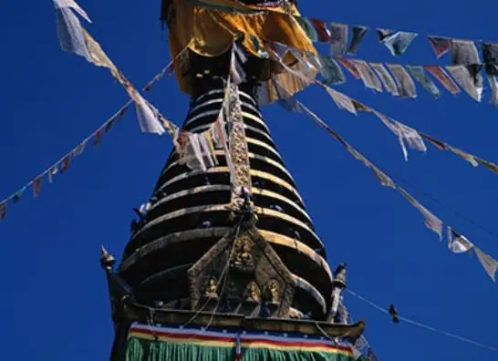 Nepal- Templos & Safari