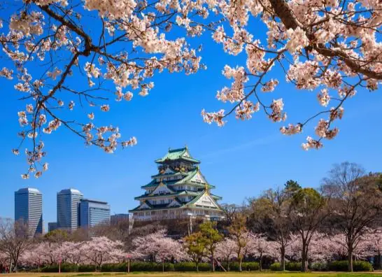 Super Japon - imagen 0