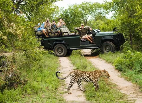 Sudafrica en Reserva Privada