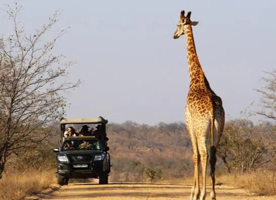 Descubriendo Sudafrica