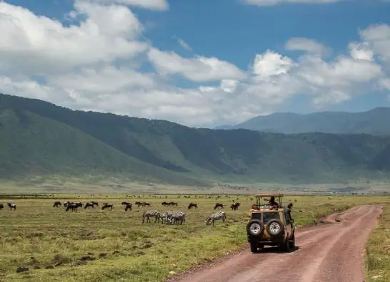 Recuerdos de Tanzania y Zanzibar
