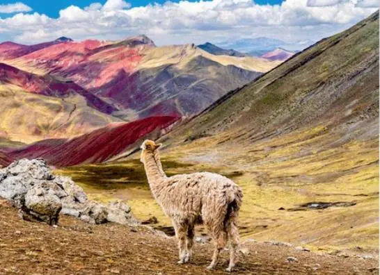 Perú y Bolivia - Maravillas Andinas y del Altiplano - 2026