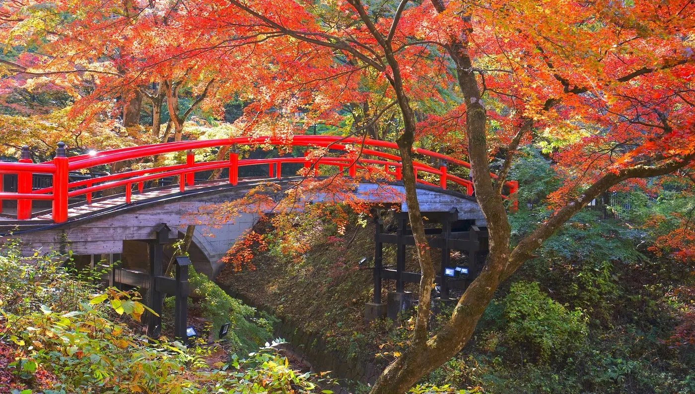 Capitales de Japón con Monte Fuji