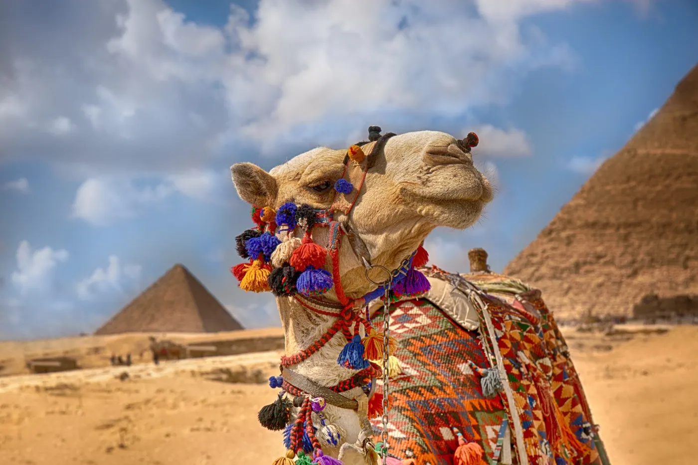 Jerusalén Clásico, Jordania y el Cairo - imagen 0