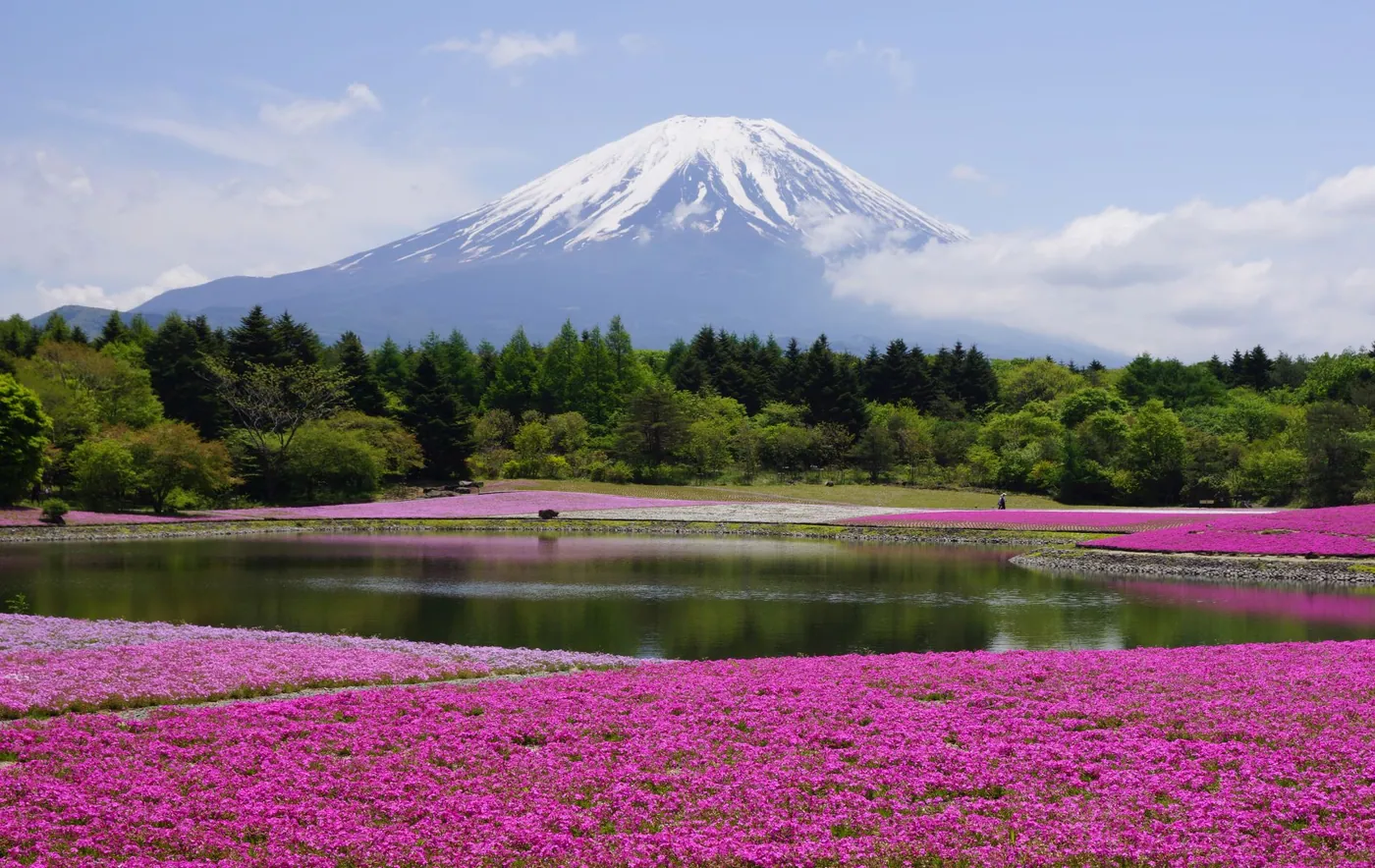 Paisajes de Corea y Japón con Monte Fuji - imagen 0