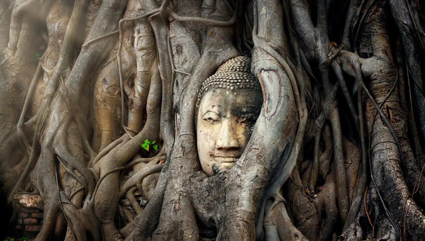 Bangkok Esencial con Ayutthaya