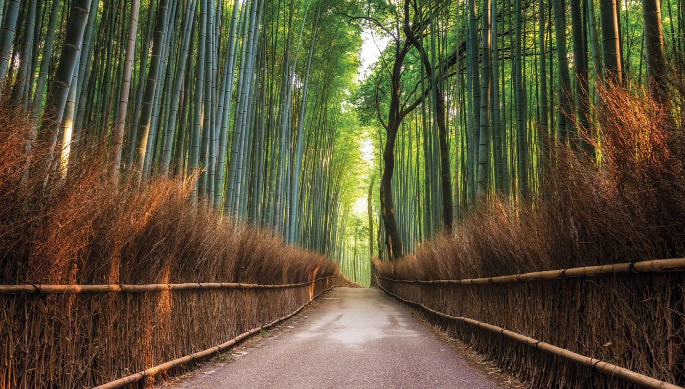 Escapada a Japón - imagen 0