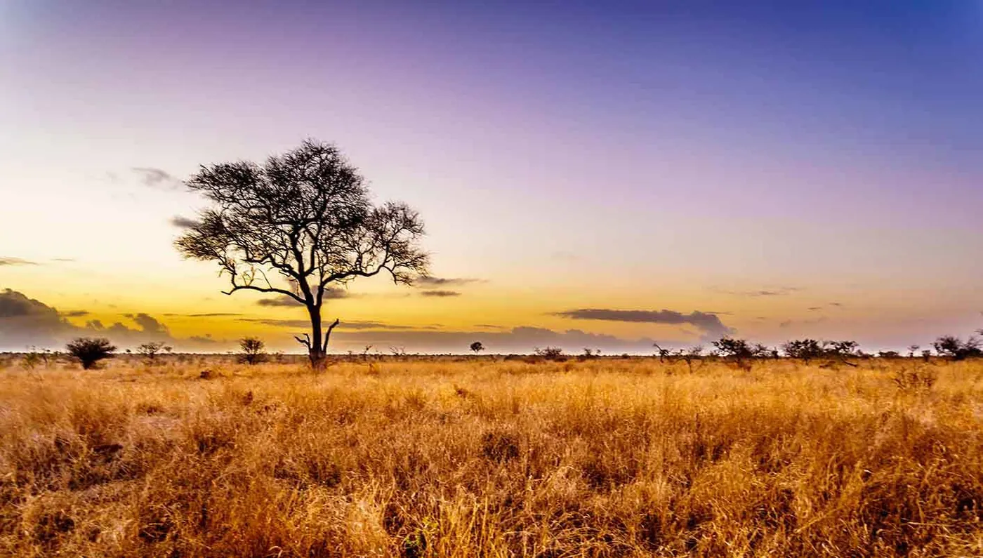 Sudáfrica Imprescindible y Cataratas Victoria con Chobe