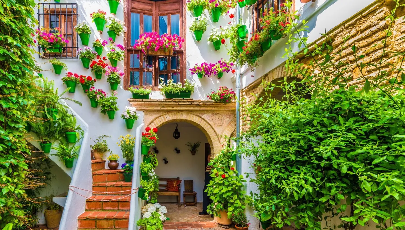 Levante, Andalucía y Madrid Slow