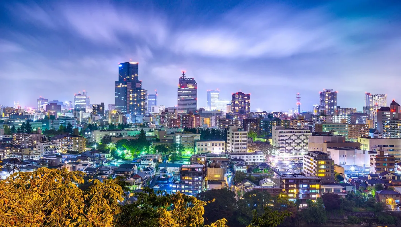 Encantos de Japón Fin Tokio