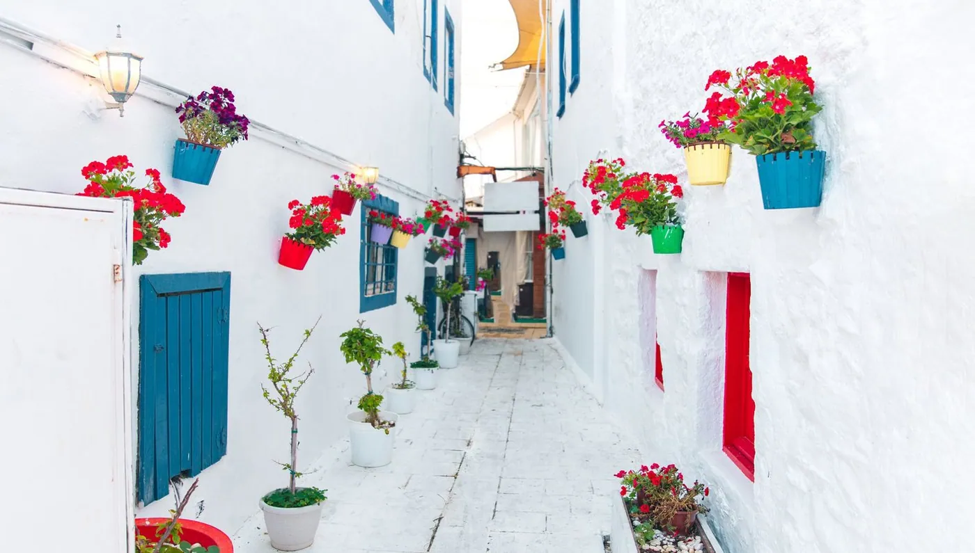 Gran Turquía, Rodas y Atenas