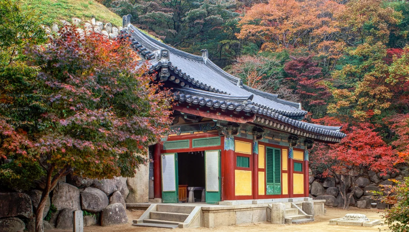 Corea, China Auténtica con Chengdu - imagen 0
