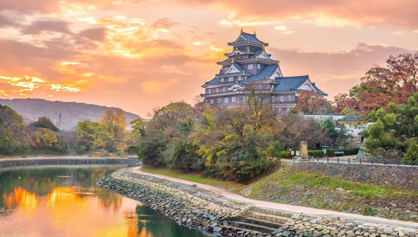 Luces de Corea y Contrastes de Japón