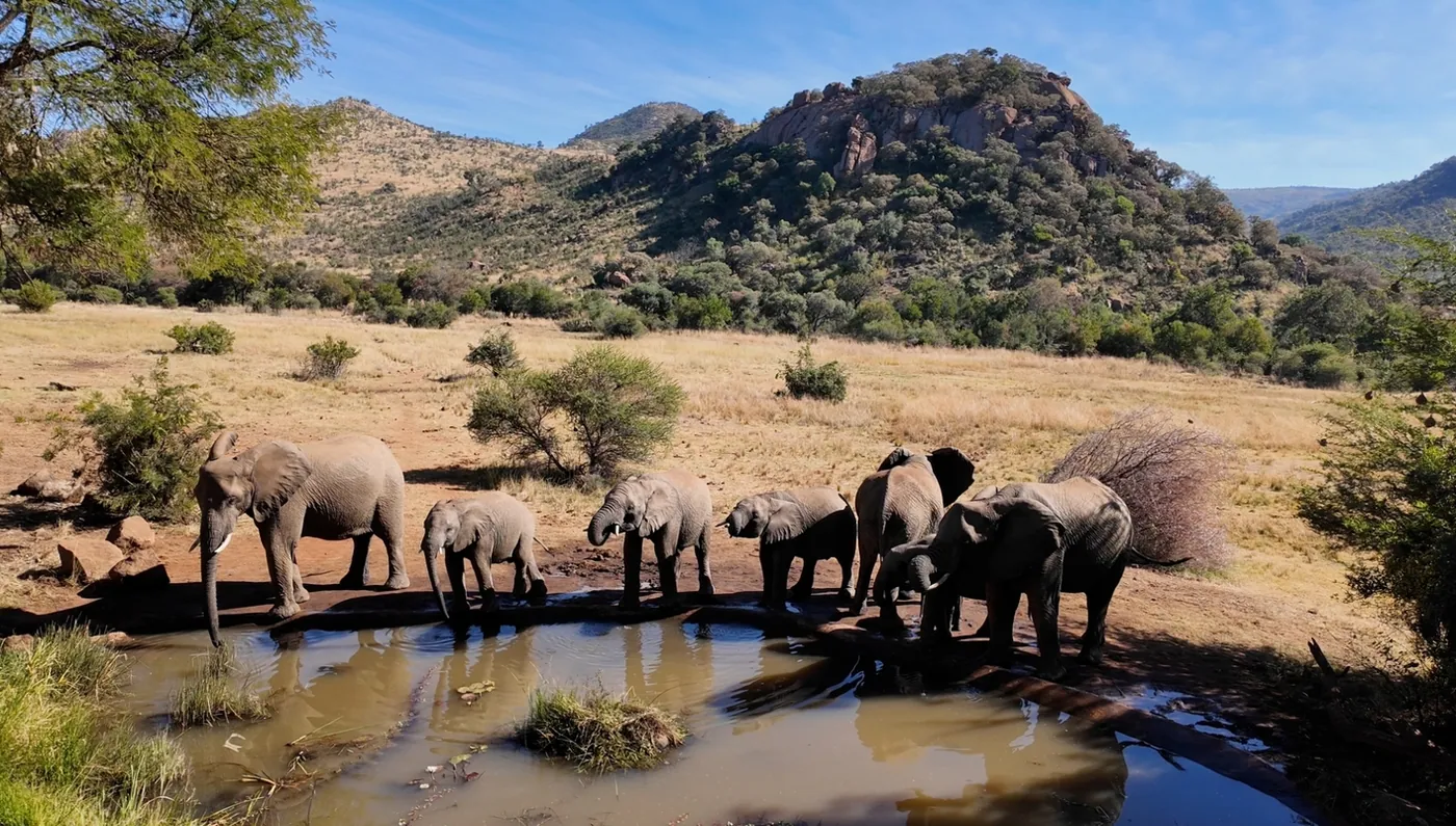 Sudáfrica de Ensueño - imagen 0