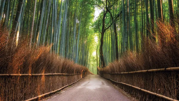 Jue.