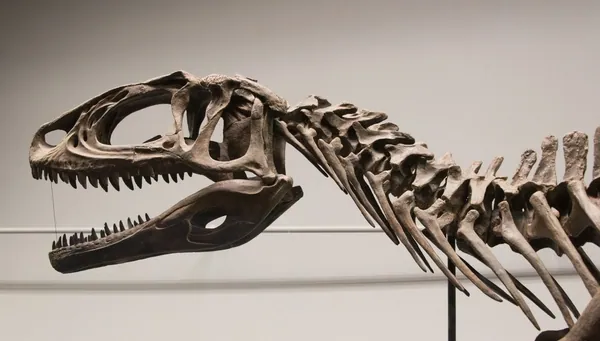 Lun.