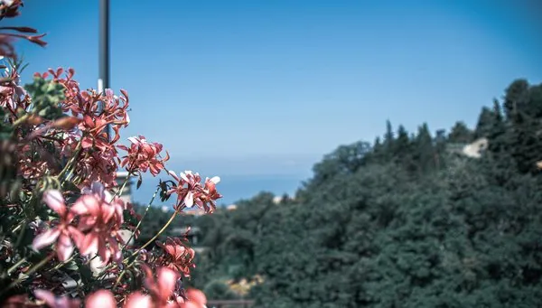 Mar.