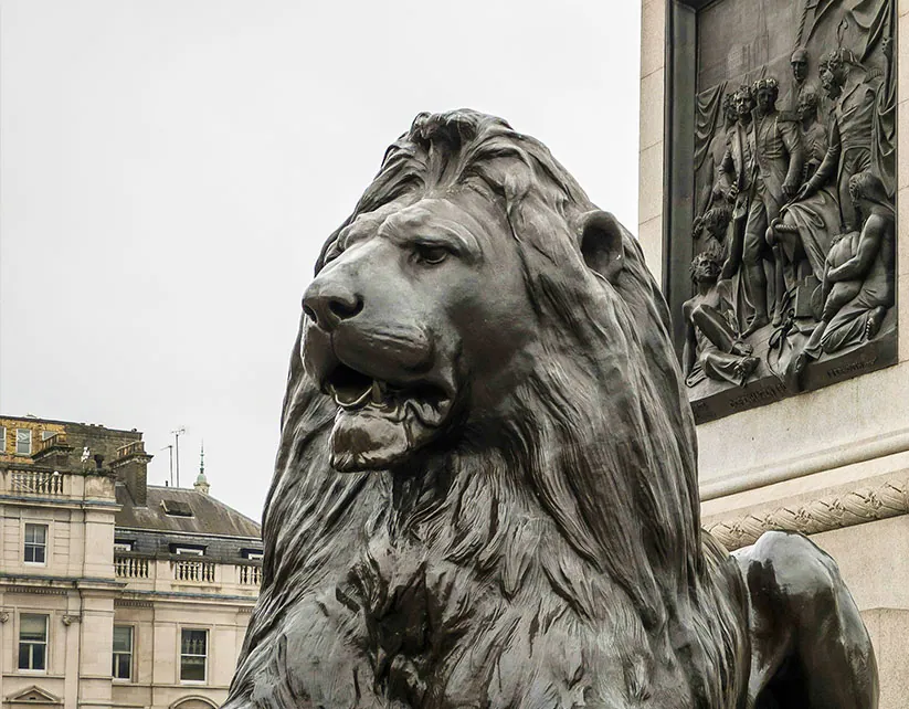 Lions - imagen 0