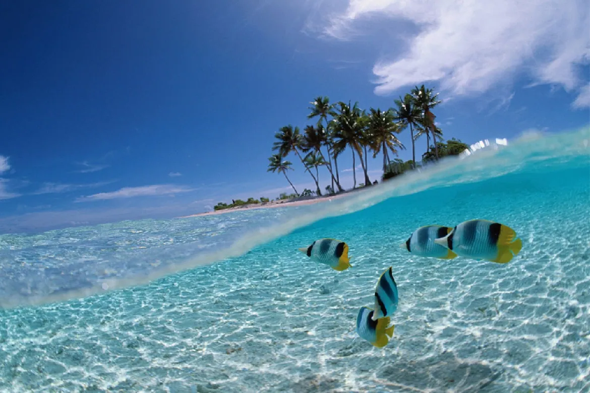 Varadero y Cayo Santa María con Copa
