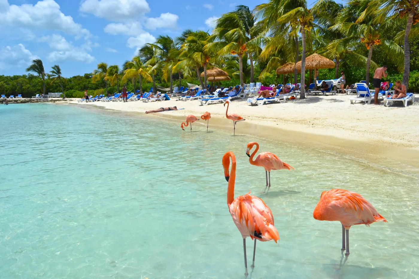 Aruba - imagen 0