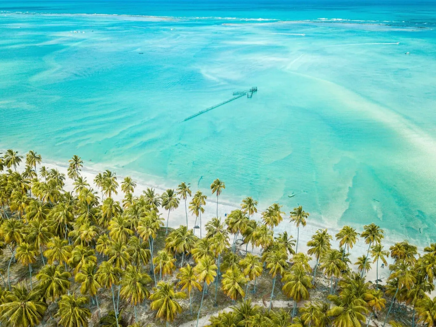 Maceió - imagen 0