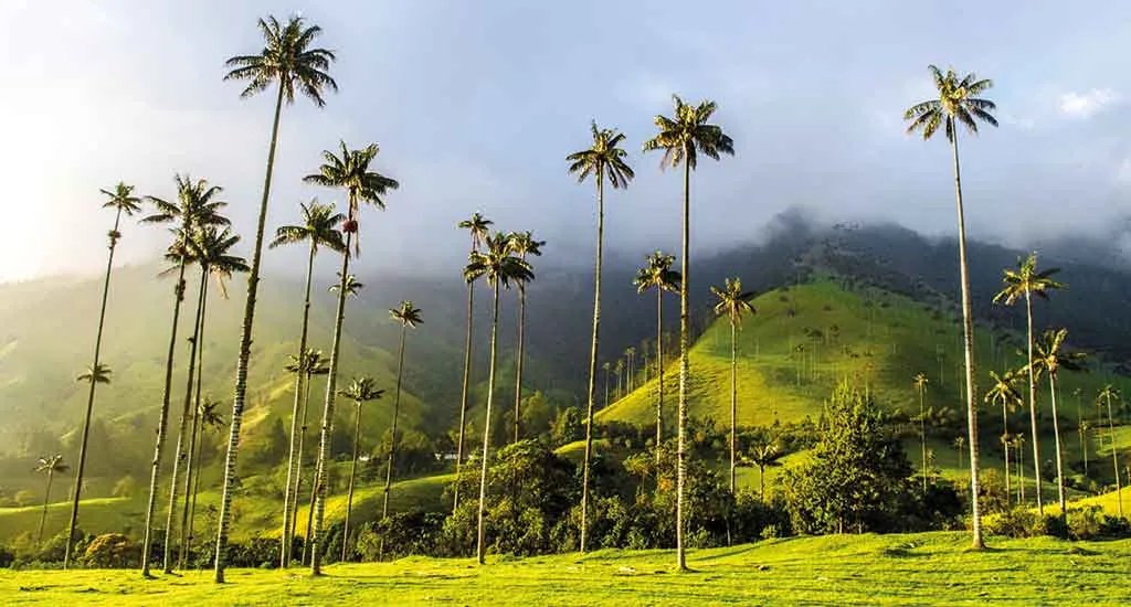 Colombia con Café y Cultura